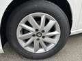 SEAT Ibiza 1,0 Reference Weiß - thumbnail 5