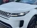 Land Rover Range Rover Evoque Range Rover Evoque P160 FWD/ 360CAM/ VERW/ CARPLAY Blanc - thumbnail 5