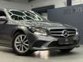 Mercedes-Benz C 300 T AVANTGARDE AHK/KAMER/CARPLAY/TÜV NEU Gris - thumbnail 22
