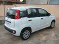 Fiat Panda 1.2 cc EASY Bianco - thumbnail 5
