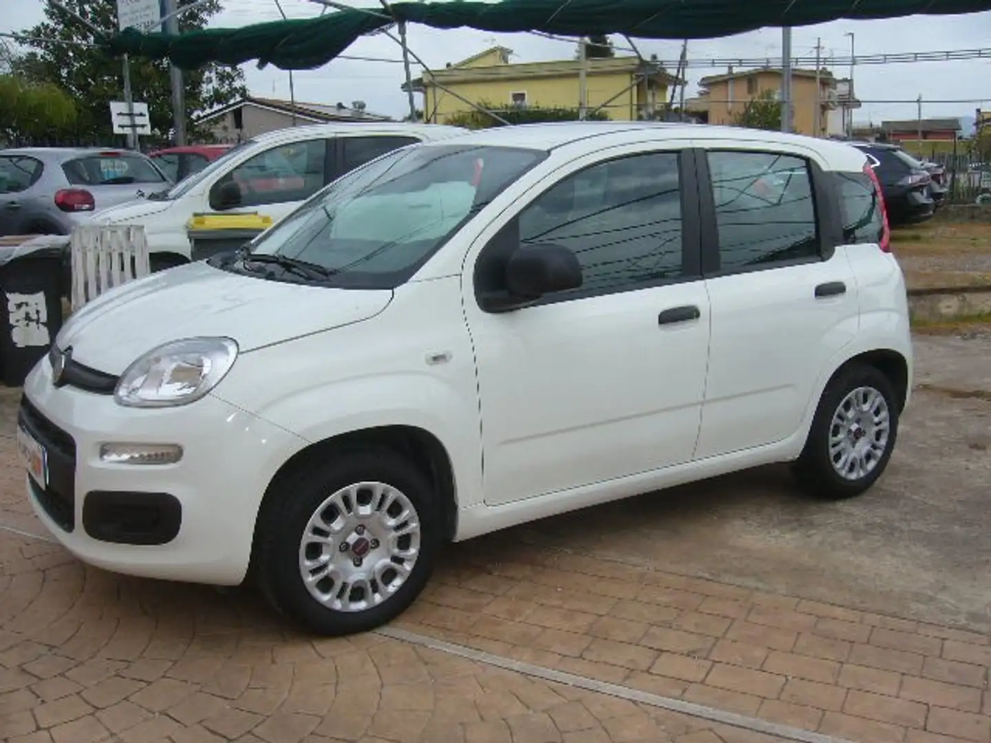 Fiat Panda 1.2 cc EASY Bianco - 1