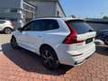 Volvo XC60 Rech. T6 AWD R-Design+XeniumPak+ Weiß - thumbnail 4