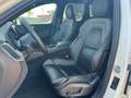 Volvo XC60 Rech. T6 AWD R-Design+XeniumPak+ Weiß - thumbnail 7