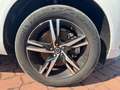 Volvo XC60 Rech. T6 AWD R-Design+XeniumPak+ Weiß - thumbnail 19
