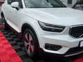 Volvo XC40 XC40 Inscription Expression Plug-In Hyb Weiß - thumbnail 11