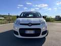 Fiat Panda Panda III 2016 1.2 easypower Gpl 69cv Carplay Wit - thumbnail 5