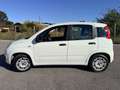 Fiat Panda Panda III 2016 1.2 easypower Gpl 69cv Carplay Wit - thumbnail 4