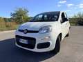 Fiat Panda Panda III 2016 1.2 easypower Gpl 69cv Carplay Wit - thumbnail 1