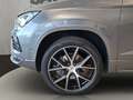 SEAT Ateca 2.0 TSI Basis Grau - thumbnail 18