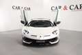 Lamborghini Aventador SVJ 6.5 V12 1 of 900 Weiß - thumbnail 26
