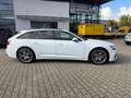 Audi A6 Avant 55 eTFSI S-Line *Matrix*AHK*Kamera*HuD* Weiß - thumbnail 6