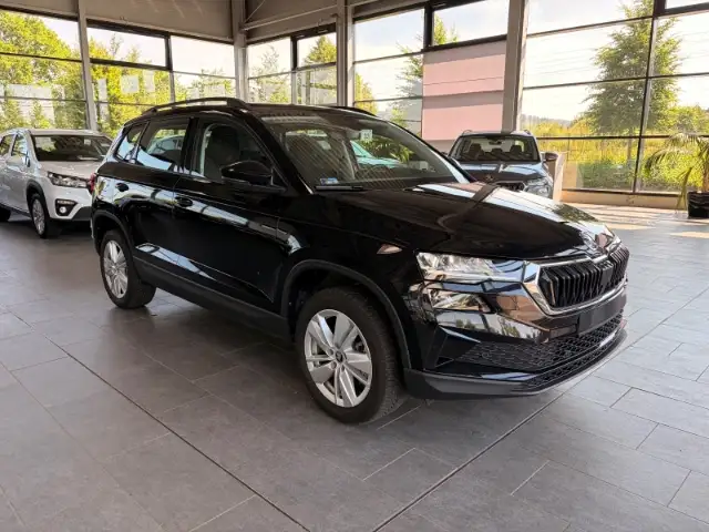 Skoda Karoq view 3