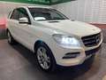 Mercedes-Benz ML 350 Classe M - W166 bt Sport auto Bianco - thumbnail 3