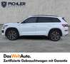 Skoda Kodiaq 4x4 Sportline TDI DSG Blanco - thumbnail 3