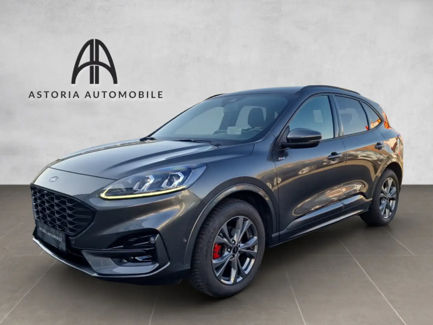 Ford Kuga ST-Line X ACC 360°Kamera Virtual HuD LED Grau - 1