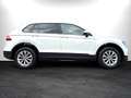 Volkswagen Tiguan 2.0TDI 4Motion DSG/SPUR/AHK/LED/NAV/GARANT Weiß - thumbnail 6