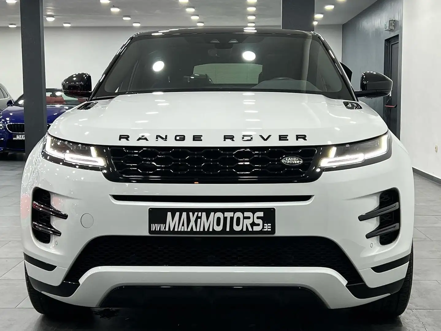 Egypte berouw hebben Ventileren Land Rover Range Rover Evoque SUV/4x4/Pick-up in Wit tweedehands in Hensies  voor € 39.990,-