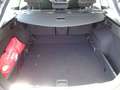SEAT Leon 1.6 TDI 115 CV DSG ST Start/Stop Business HIGH Grau - thumbnail 20
