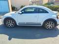 Volkswagen Beetle Beetle 1.4 TSI Dune DSG 110kW Dune Blanco - thumbnail 3