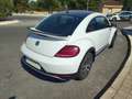 Volkswagen Beetle Beetle 1.4 TSI Dune DSG 110kW Dune Blanco - thumbnail 5
