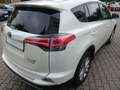 Toyota RAV 4 2.5 4x4 Hybrid Executive m. NAVI aus 1.Hand Weiß - thumbnail 5