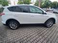 Toyota RAV 4 2.5 4x4 Hybrid Executive m. NAVI aus 1.Hand Weiß - thumbnail 6