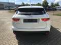 Jaguar F-Pace 20d AWD Aut. R-Sport, Navi, AHK, 19 Zoll Blanc - thumbnail 9