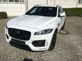 Jaguar F-Pace 20d AWD Aut. R-Sport, Navi, AHK, 19 Zoll Blanc - thumbnail 2