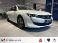 Peugeot 508 SW Allure Pack PureTech 130 EAT8 *Navi*CAM36 Weiß - thumbnail 4