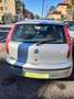 Fiat Punto Punto 5p 1.2 Classic - thumbnail 1