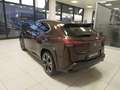 Lexus UX 250h Hybrid Luxury 4WD Bronze - thumbnail 6