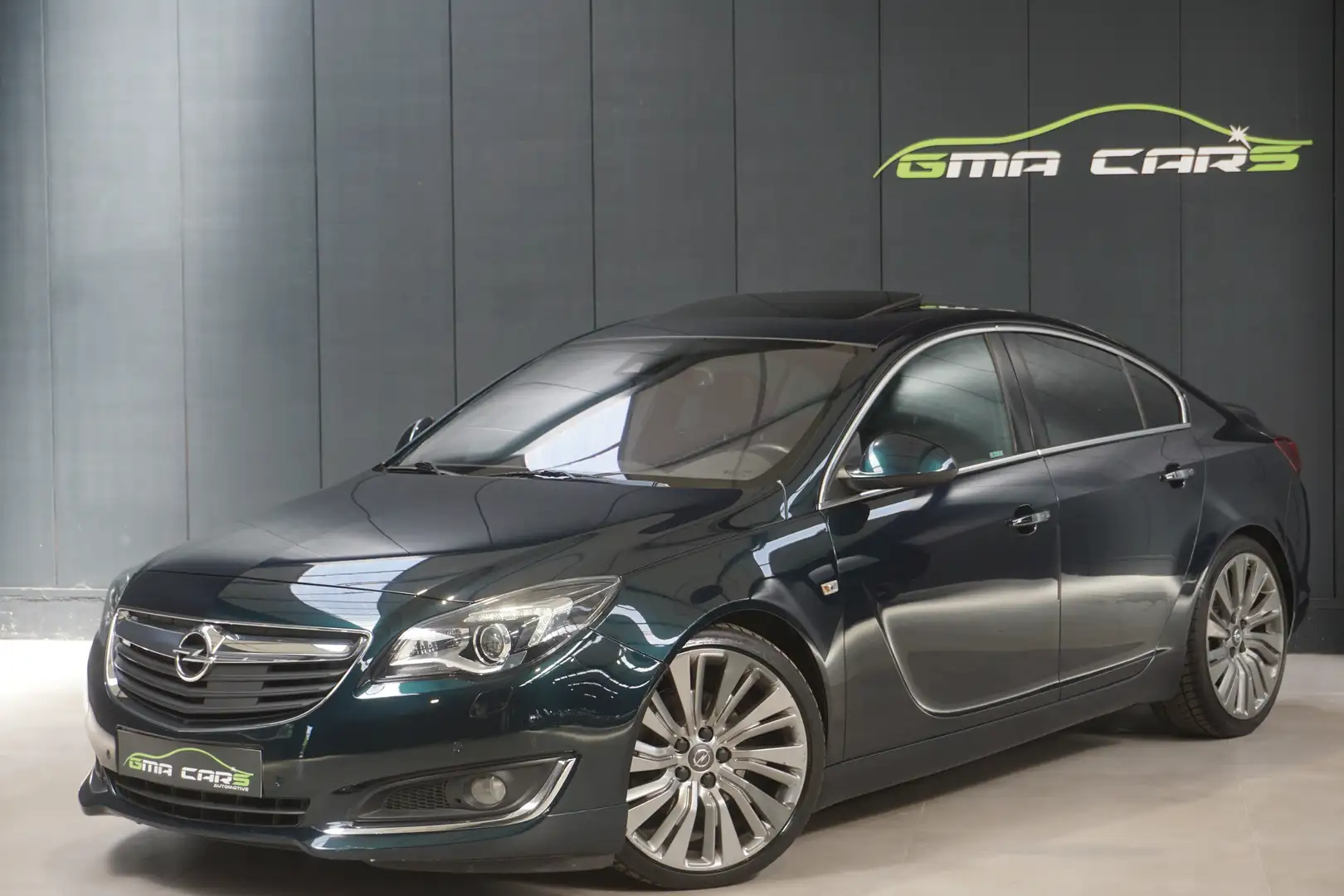 Opel Insignia 2.0 CDTi ECOTEC OPC-Line Automaat-Navi-Garantie Verde - 1