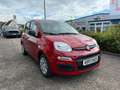 Fiat Panda 1.0 Hybrid Rot - thumbnail 4
