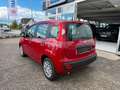 Fiat Panda 1.0 Hybrid Rot - thumbnail 13