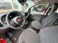 Fiat Panda 1.0 Hybrid Rot - thumbnail 5