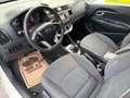 Kia Rio Attract 1,2 BENZIN *NEU PICKERL 07/2027 *KREDIT** Weiß - thumbnail 14