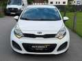 Kia Rio Attract 1,2 BENZIN *NEU PICKERL 07/2027 *KREDIT** Weiß - thumbnail 4