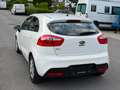 Kia Rio Attract 1,2 BENZIN *NEU PICKERL 07/2027 *KREDIT** Weiß - thumbnail 2
