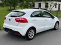 Kia Rio Attract 1,2 BENZIN *NEU PICKERL 07/2027 *KREDIT** Weiß - thumbnail 3