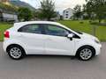 Kia Rio Attract 1,2 BENZIN *NEU PICKERL 07/2027 *KREDIT** Weiß - thumbnail 7