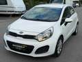 Kia Rio Attract 1,2 BENZIN *NEU PICKERL 07/2027 *KREDIT** Weiß - thumbnail 6