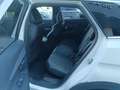 Peugeot 3008 1.2 PureTech 13cv GT LINE Usato Garantito Bianco - thumbnail 10