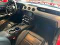 Ford Mustang Fastback 2.3 EcoBoost Automatica Full Rouge - thumbnail 12