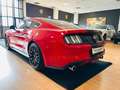 Ford Mustang Fastback 2.3 EcoBoost Automatica Full Rouge - thumbnail 7