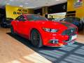 Ford Mustang Fastback 2.3 EcoBoost Automatica Full Rouge - thumbnail 4