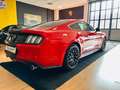 Ford Mustang Fastback 2.3 EcoBoost Automatica Full Rouge - thumbnail 5