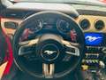 Ford Mustang Fastback 2.3 EcoBoost Automatica Full Rouge - thumbnail 9