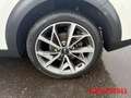 Kia Niro Spirit Hybrid Automatik Navi Kamera Tempomat Sitzh Bianco - thumbnail 14