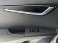 Kia e-Niro Niro EV  64kWh.AKKU  Platin/Schiebedach Grau - thumbnail 19