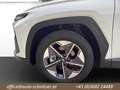 Hyundai TUCSON Tucson 1,6 T-GDI PHEV 4WD Go Plus Aut. Weiß - thumbnail 14